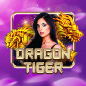 Dragon Tiger fbm gaming live casino